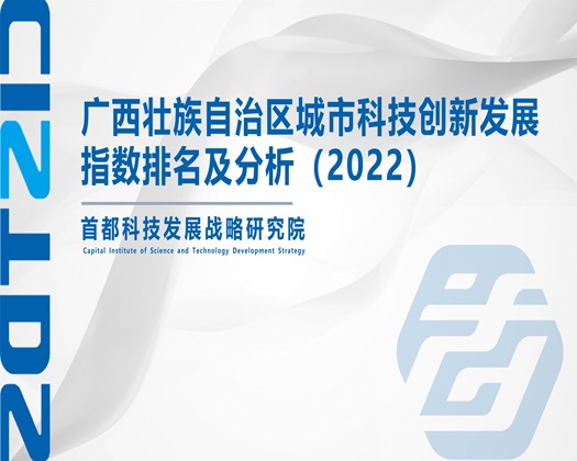 老太婆肥逼高潮露脸视频【成果发布】广西壮族自治区城市科技创新发展指数排名及分析（2022）